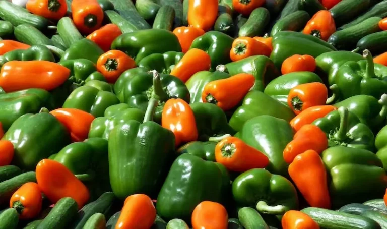 Cubanelle Pepper vs Poblano Pepper – Heat, Flavor, and Taste